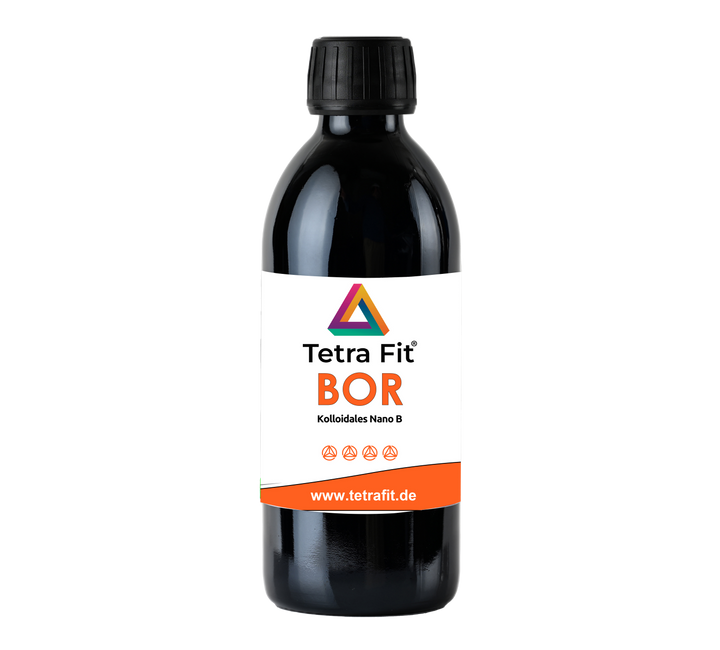 Tetra BOR